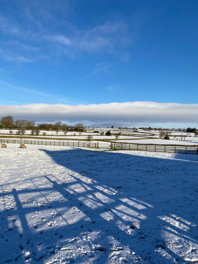 Sheilas Sleeps 2 One Dog Allowed With Prior Permission * Barnard Castle